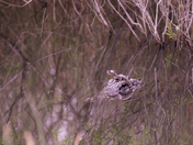Everglades National Park