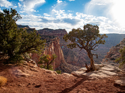 Capitol Reef National Park
