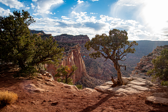 Capitol Reef National Park