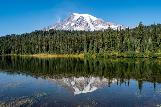 Mount Rainier National Park