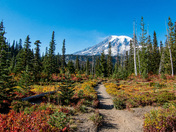 Mount Rainier National Park