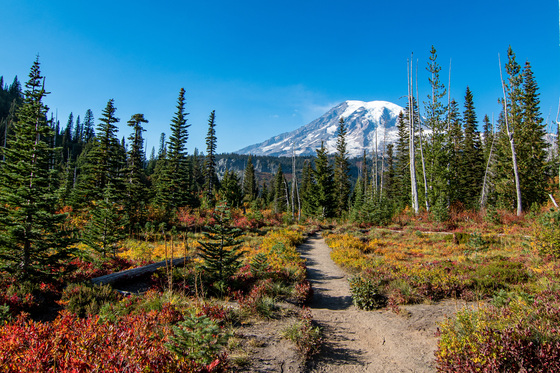 Mount Rainier National Park