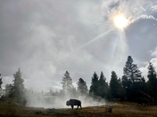 Yellowstone National Park