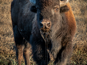 Grand Teton National Park