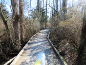 Bombay Hook National Wildlife Refuge