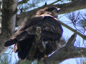Taking a Rest