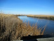 Bombay Hook National Wildlife Refuge