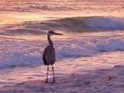 Davis Bayous Area Gulf Islands National Seashore