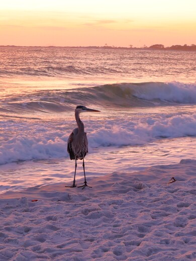 Davis Bayous Area Gulf Islands National Seashore