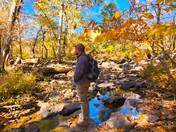 New River Gorge National Park & Preserve