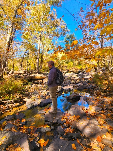 New River Gorge National Park & Preserve