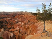 Bryce Canyon National Park