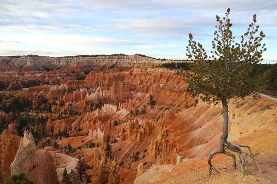 Bryce Canyon National Park