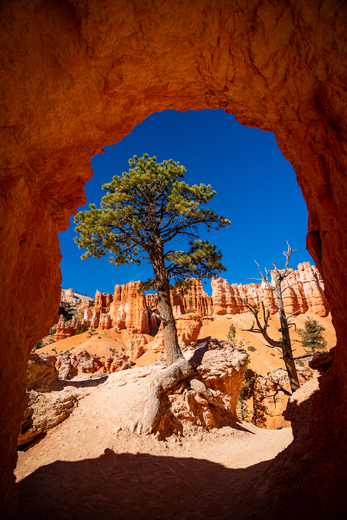 Bryce Canyon National Park