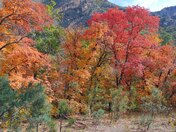 Guadalupe Mountains National Park 