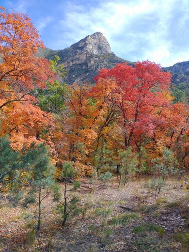 Guadalupe Mountains National Park 