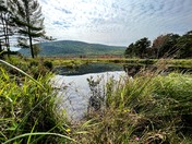 Acadia National Park