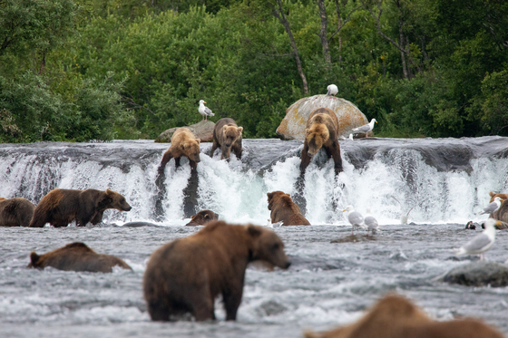 Katmai National Park & Preserve