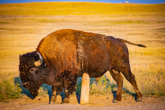 Badlands National Park