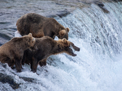 Katmai National Park & Preserve