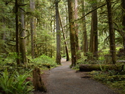 Olympic National Park