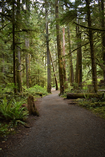 Olympic National Park