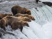 Katmai National Park & Preserve
