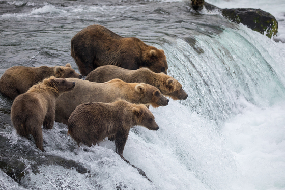 Katmai National Park & Preserve