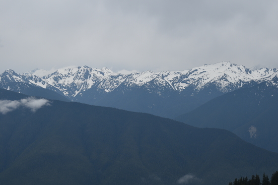 Olympic National Park