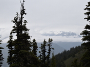 Olympic National Park