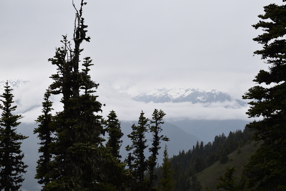 Olympic National Park