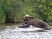 Katmai National Park & Preserve