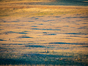 Badlands National Park