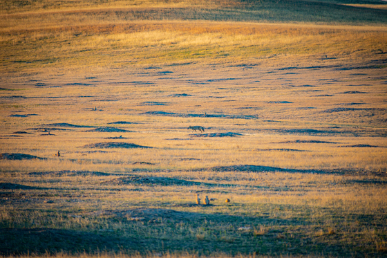 Badlands National Park