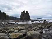Olympic National Park