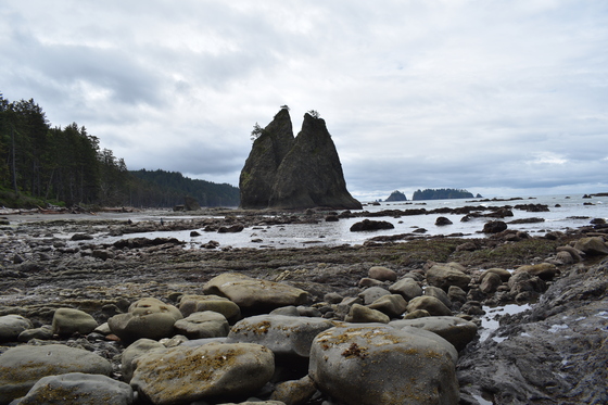 Olympic National Park