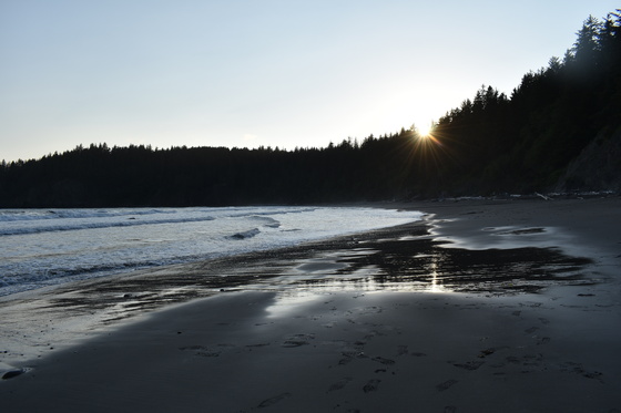 Olympic National Park