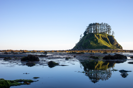 Olympic National Park