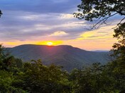 Pisgah National Forest