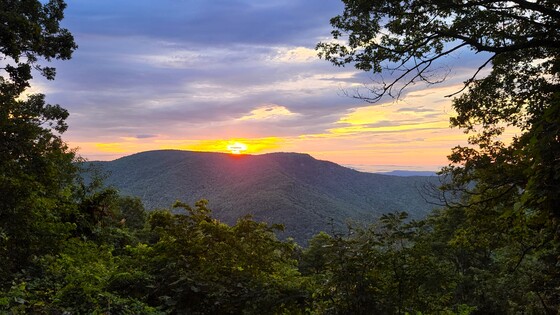 Pisgah National Forest