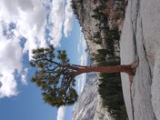 Yosemite National Park