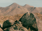 Saguaro National Park