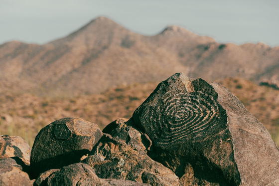 Saguaro National Park