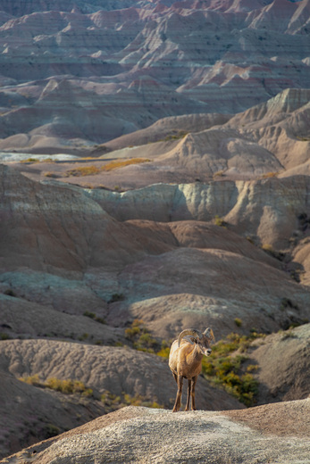 Badlands National Park