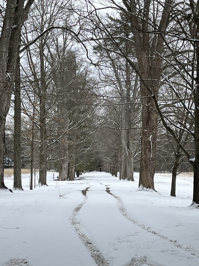 Home of Franklin D. Roosevelt National Historic Site