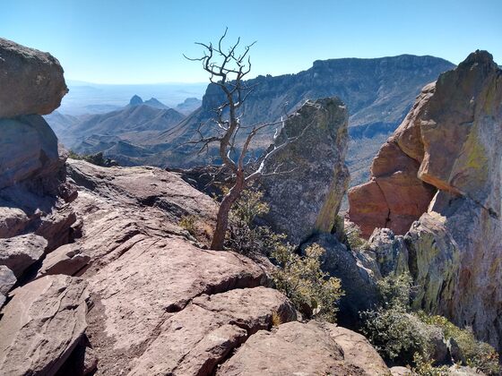 Big Bend National Park