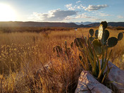 Big Bend National Park