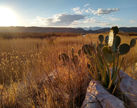 Big Bend National Park