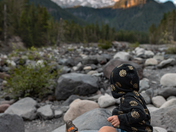 Mount Rainier National Park