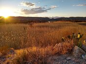 Big Bend National Park